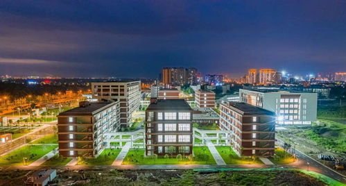 電子科技大學(xué)成都學(xué)院什邡校區(qū)驚艷亮相，金秋九月將迎來首批師生