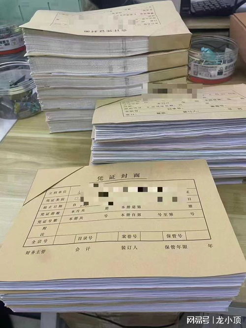 濰坊企業(yè)財(cái)務(wù)首選 龍頂會(huì)計(jì)服務(wù)，專業(yè)代理記賬與出口退稅專家